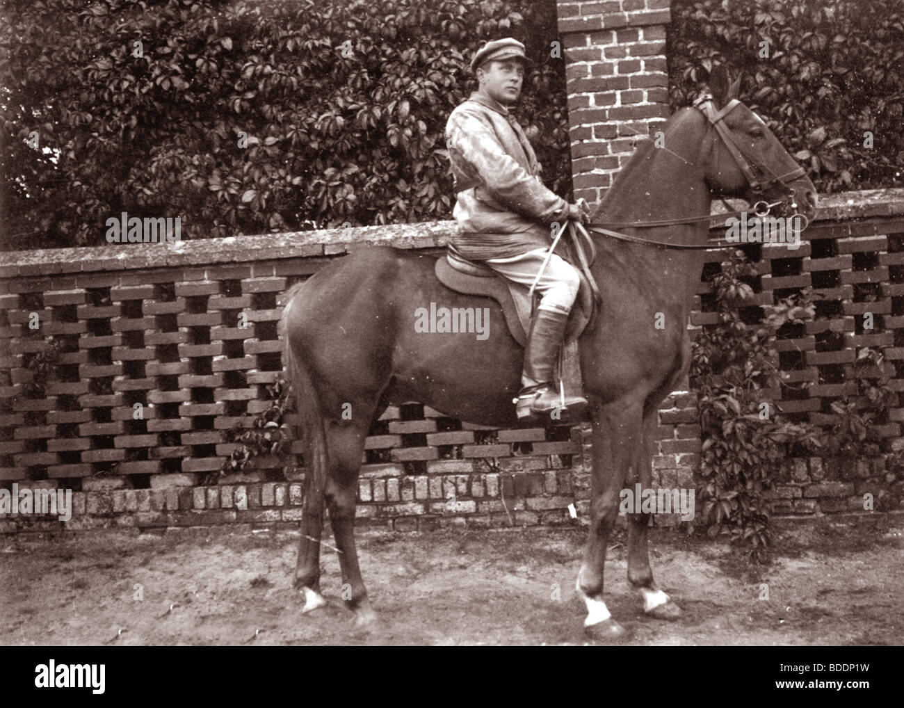 Old photo depicting a young man on a horse Stock Photo - Alamy