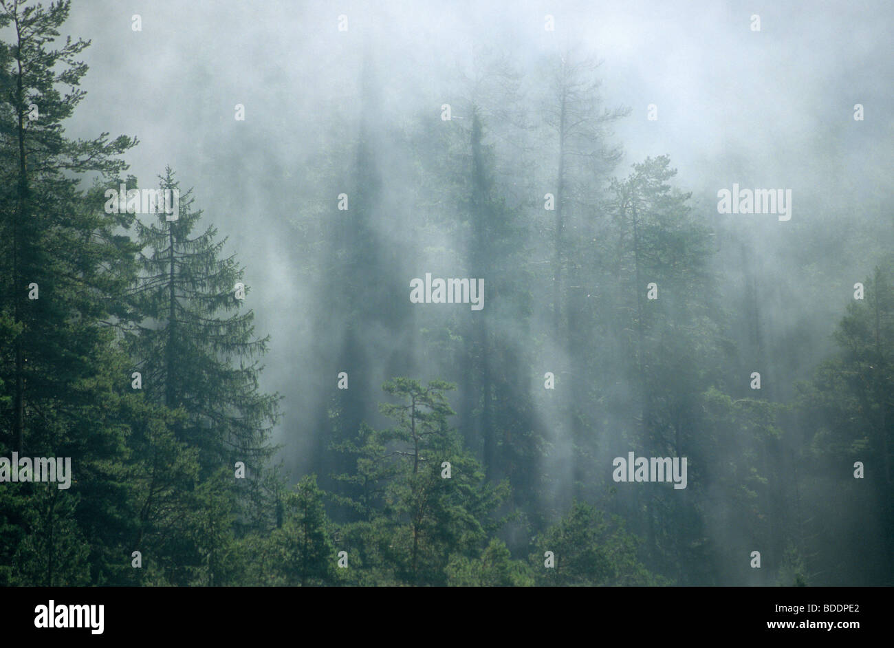Early morning cloud/fog. in the Rofan massif, in the alps of northwest Austria. Stock Photo