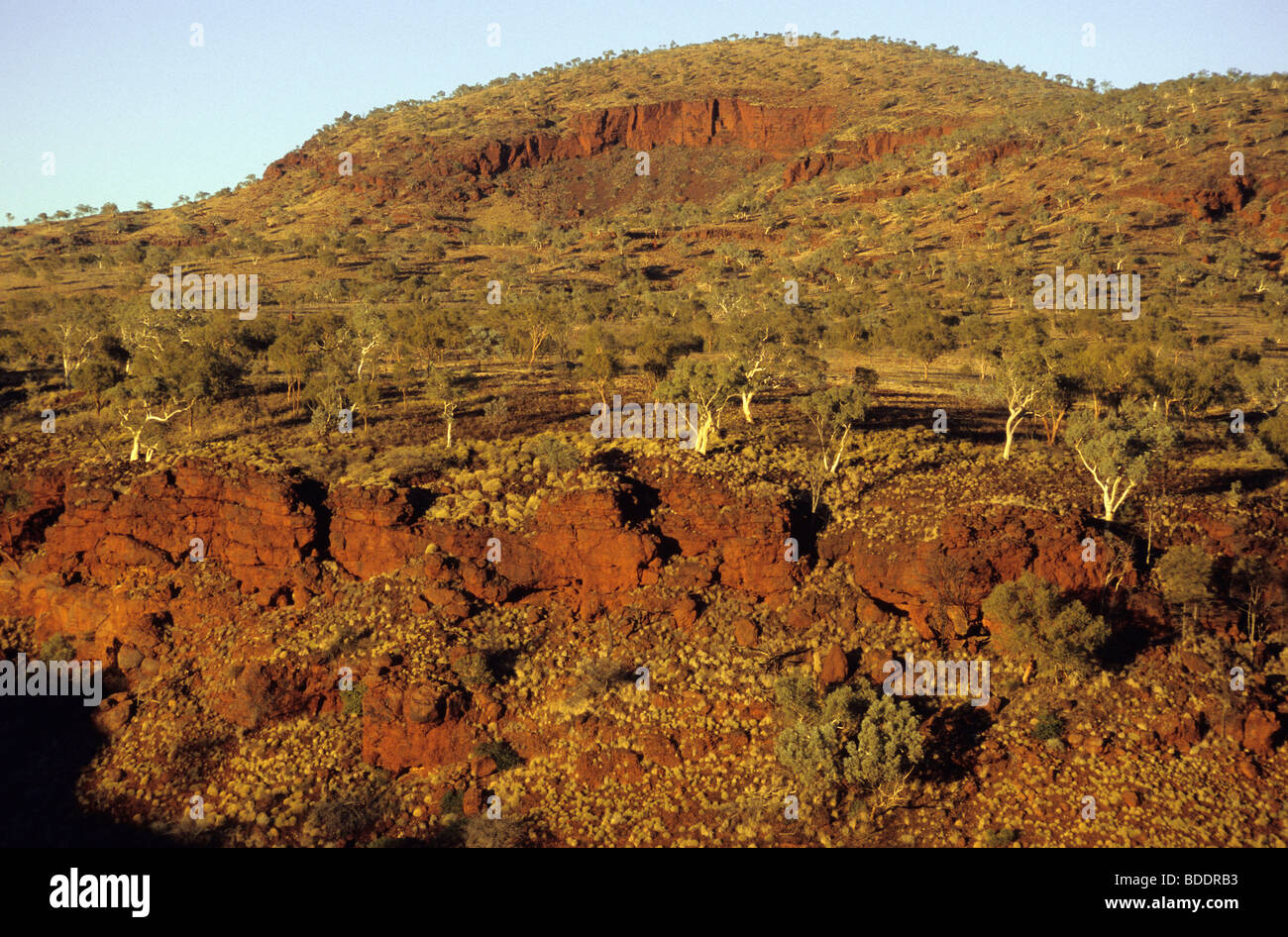Dales Gorge, in the Hamersley Ranges of Karijini National Park Western Australia. Stock Photo