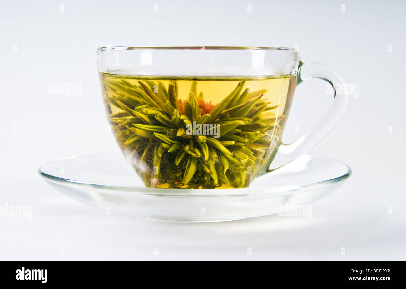 cup with blooming flower green tea Stock Photo