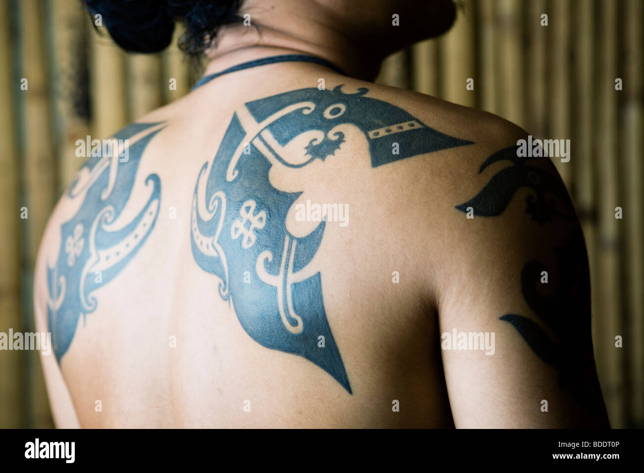 Traditional tribal tattoos (dragons) of Iban tribe in Borneo, Malaysia. Stock Photo