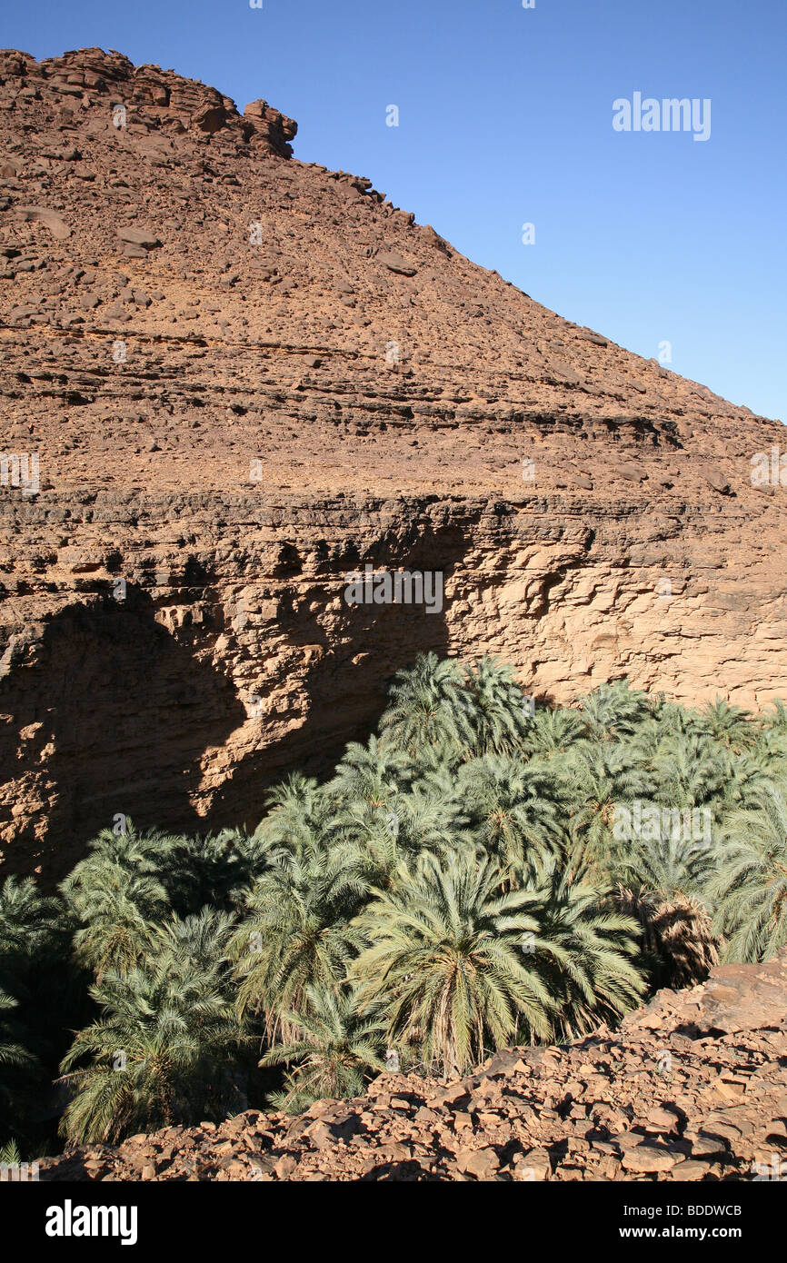 The lush but confined little gorge containing Terjit oasis in the Adrar ...