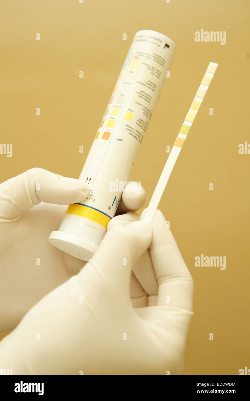 pH testing strip Stock Photo Alamy