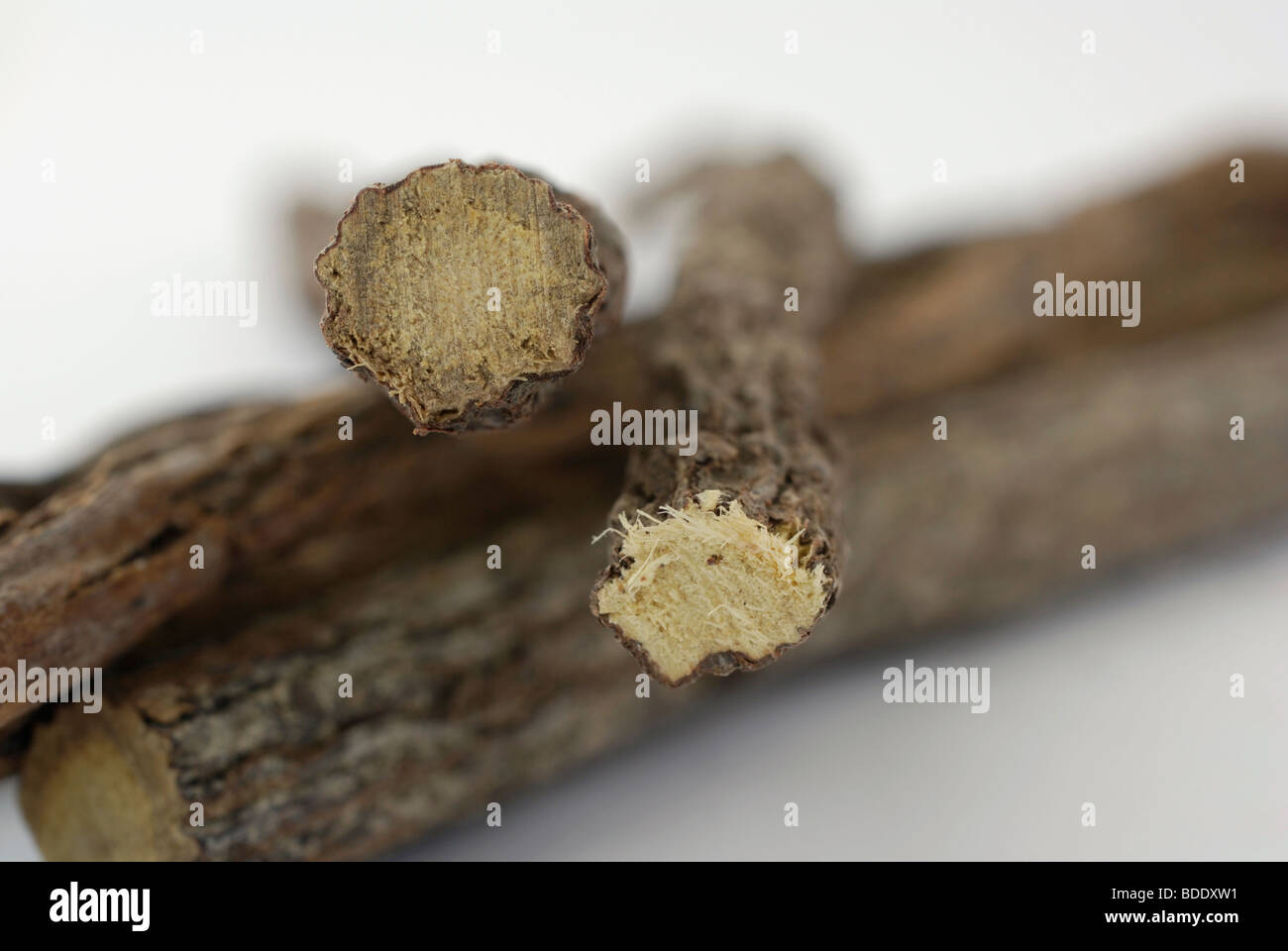 Licorice root Stock Photo Alamy