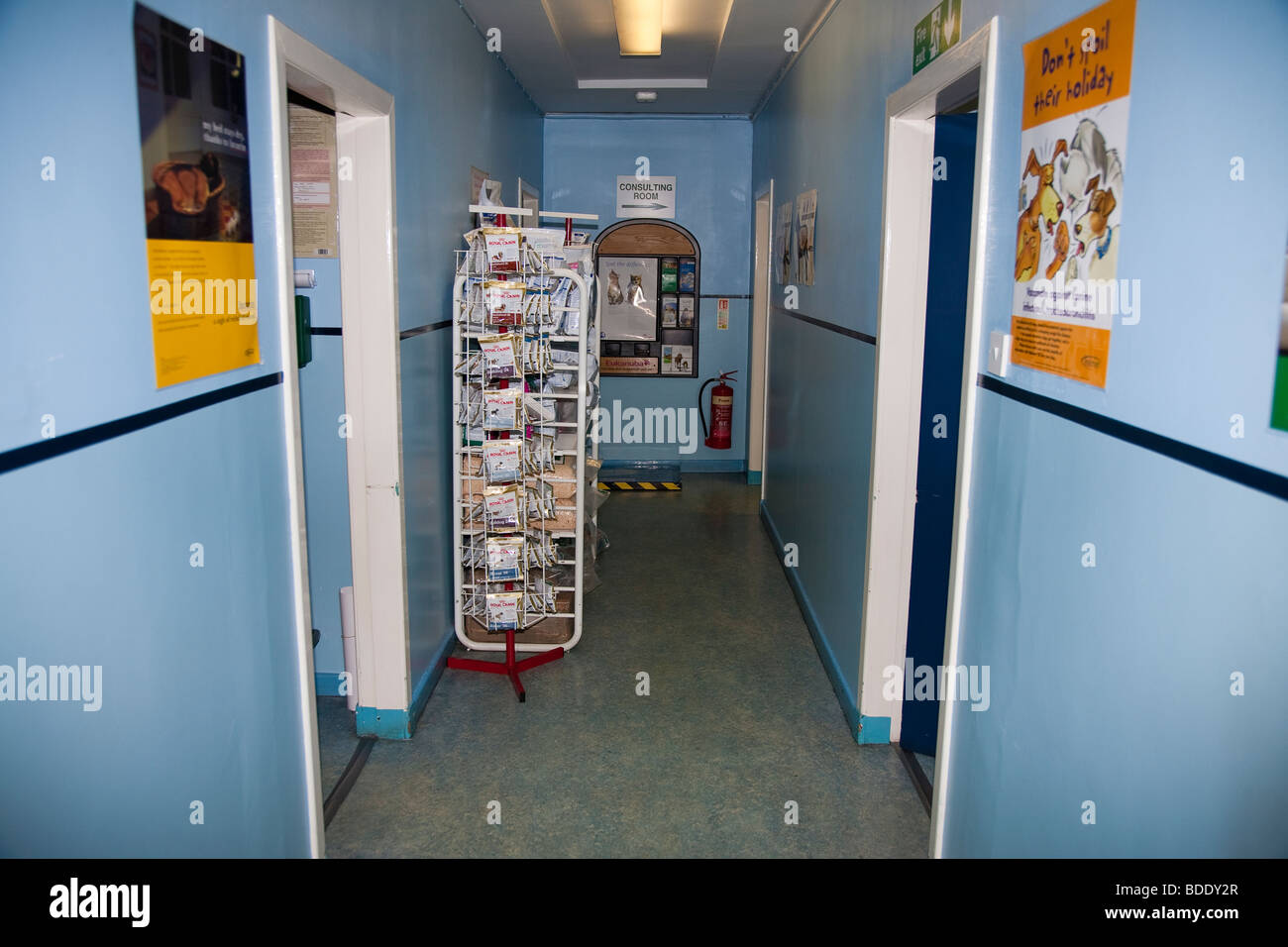 Corridor in Veterinary Clinic in the UK Stock Photo