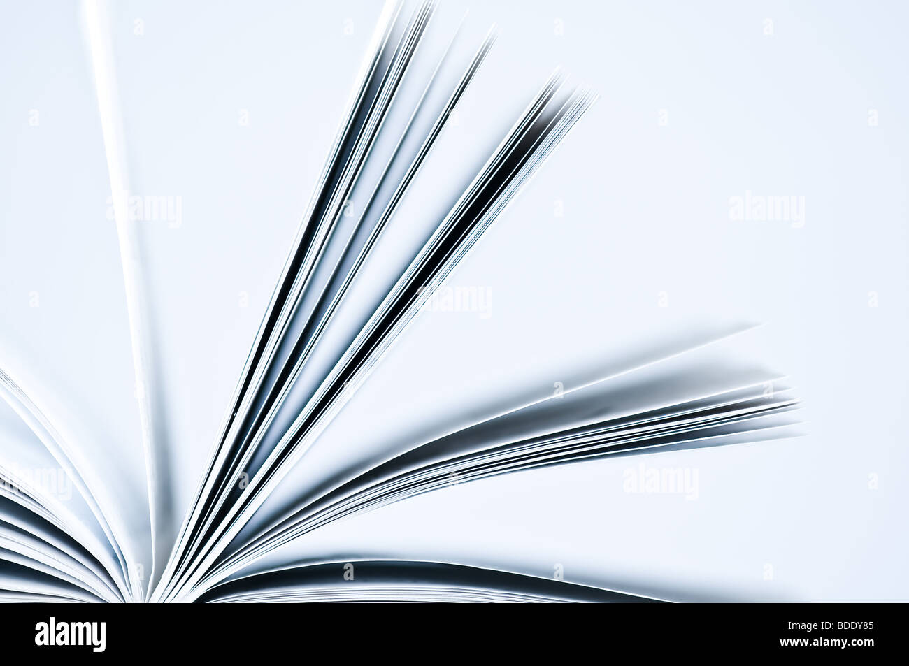 Pages of a book Stock Photo - Alamy