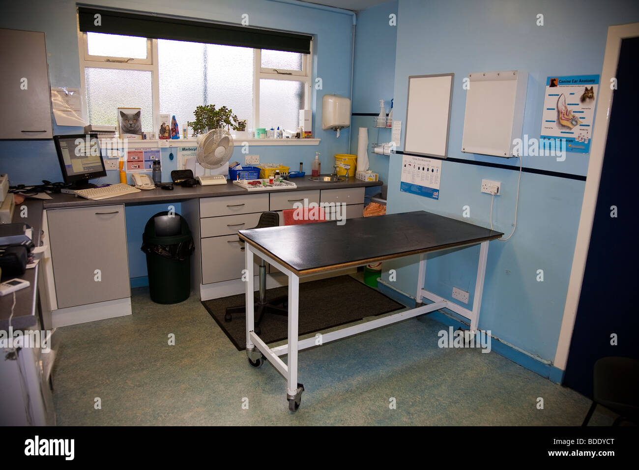 Consulting Room in a Veterinary Clinic Stock Photo