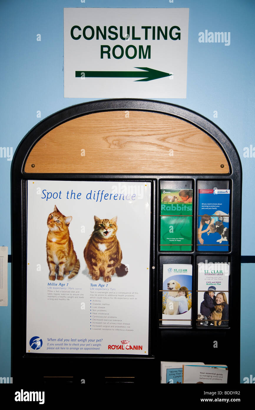 Waiting Room Display in Veterinary clinic Stock Photo