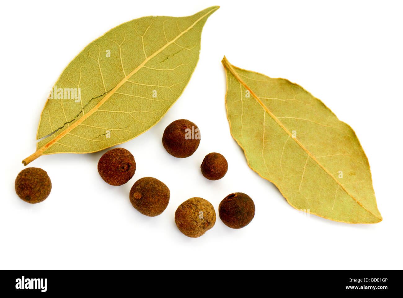 Лавровый лист и черный перец. Перец лавровый лист. Лавровый лист и гвоздика специи. Специи на белом фоне. Лаврушка лист.