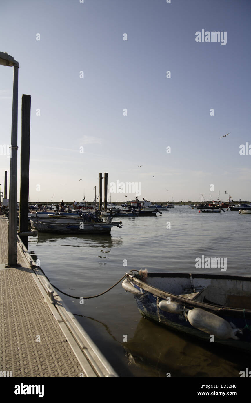 Mersea island west mersea coastal view jettys sailing,watersports Stock