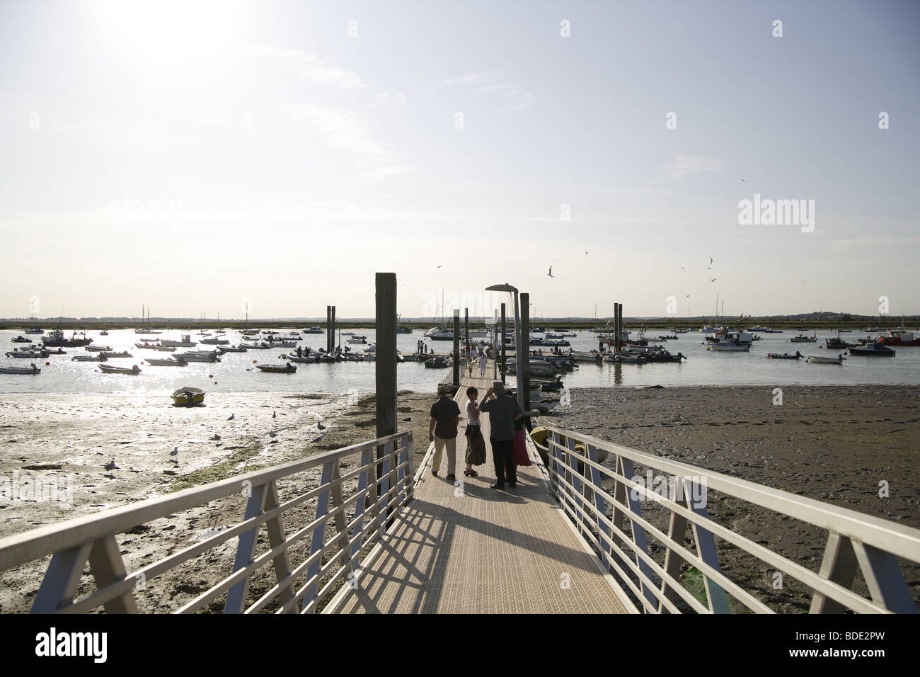 Mersea island west mersea coastal view jettys sailing,watersports Stock