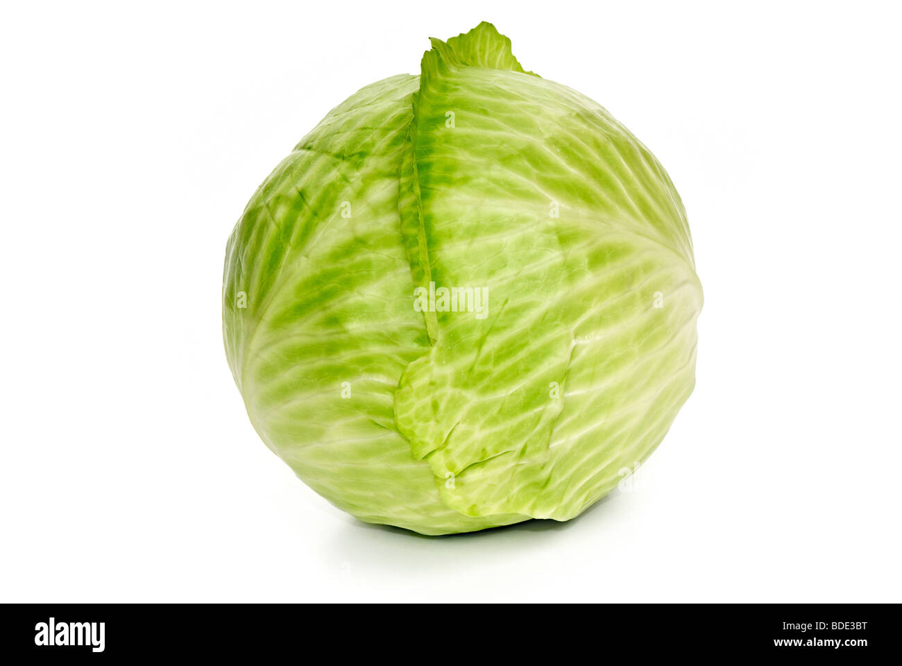 A head of cabbage isolated on a white background Stock Photo
