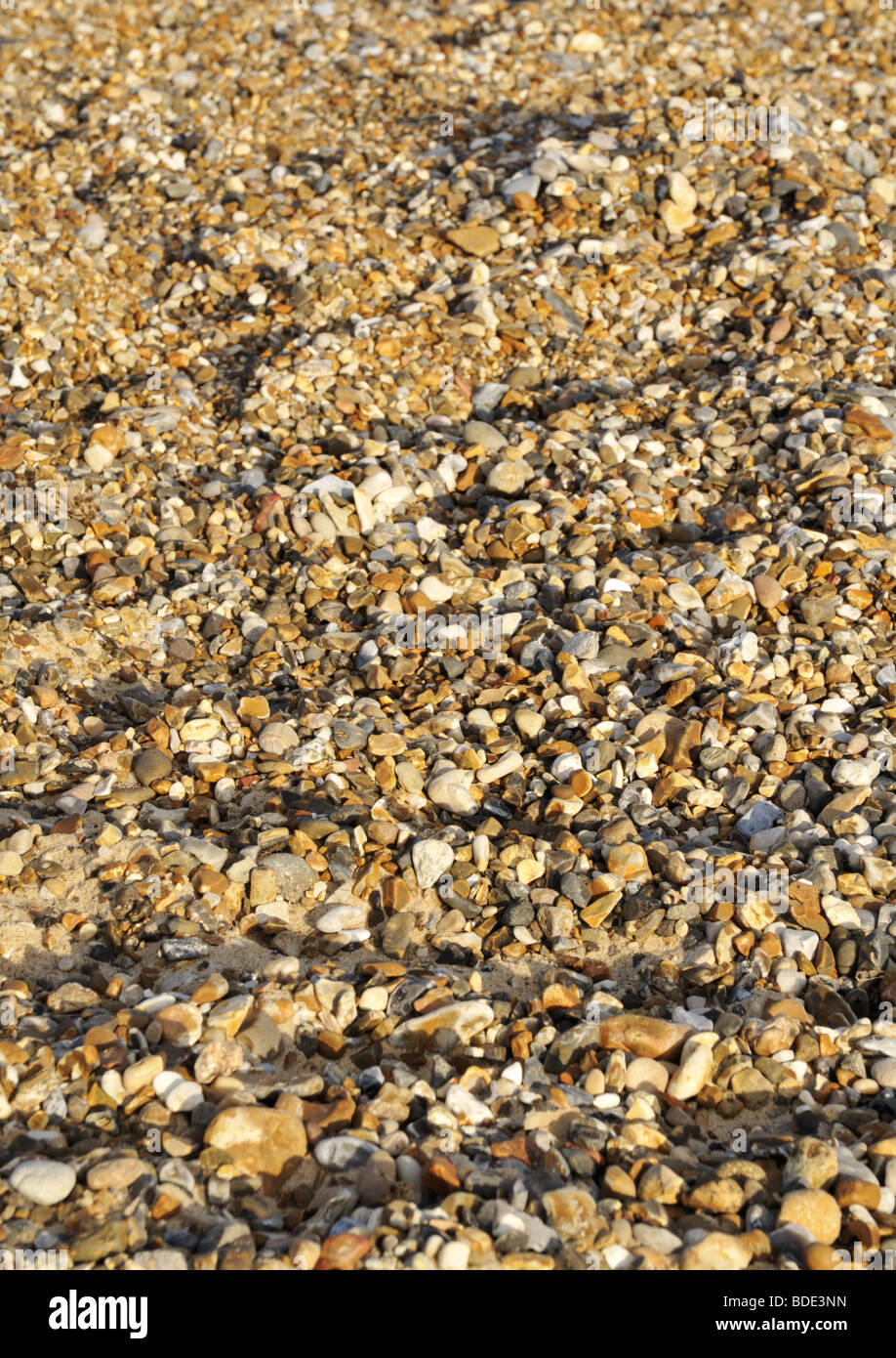 Pebble beach in the United Kingdom Stock Photo - Alamy