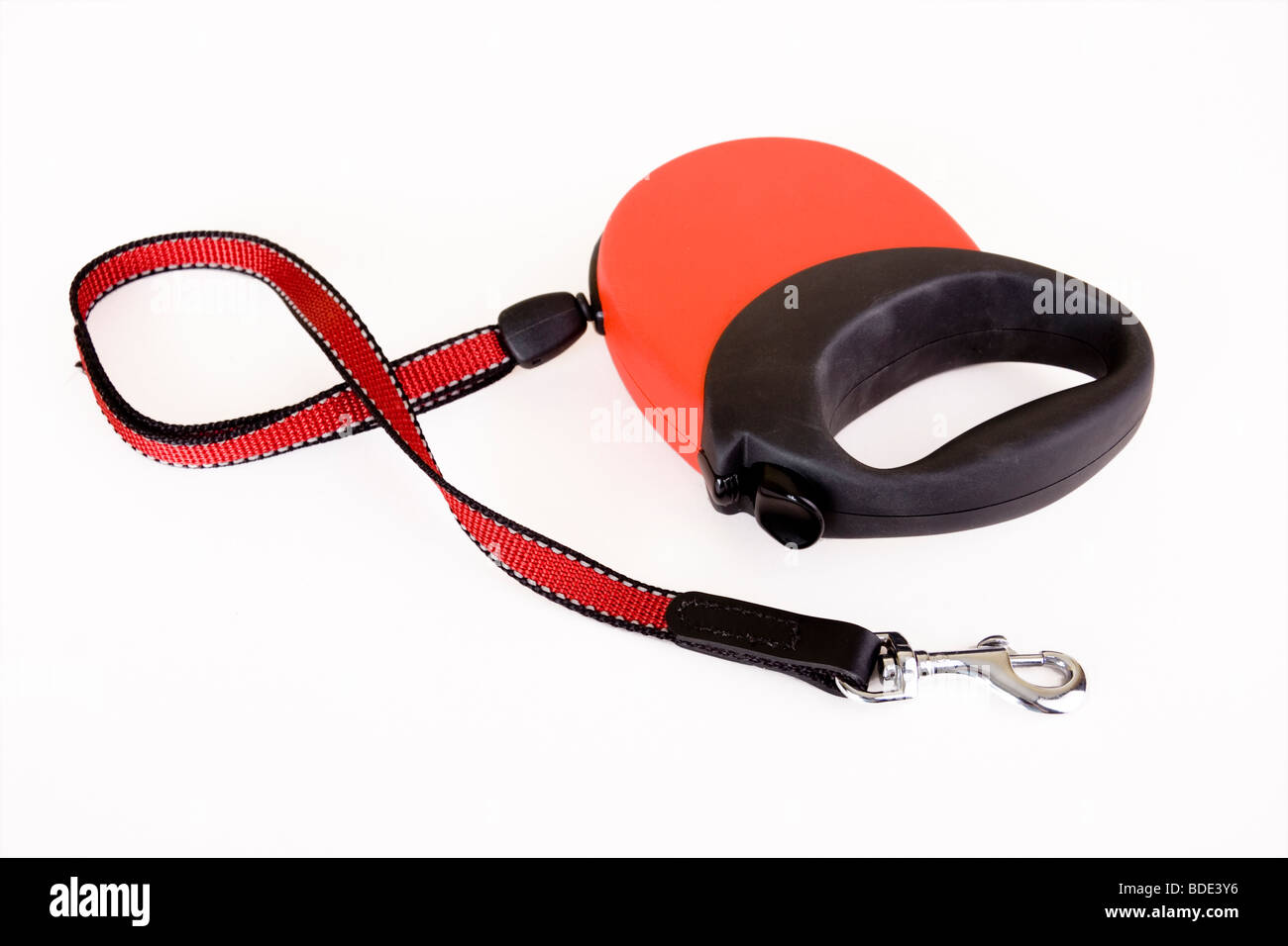 Retractable dog lead Stock Photo Alamy