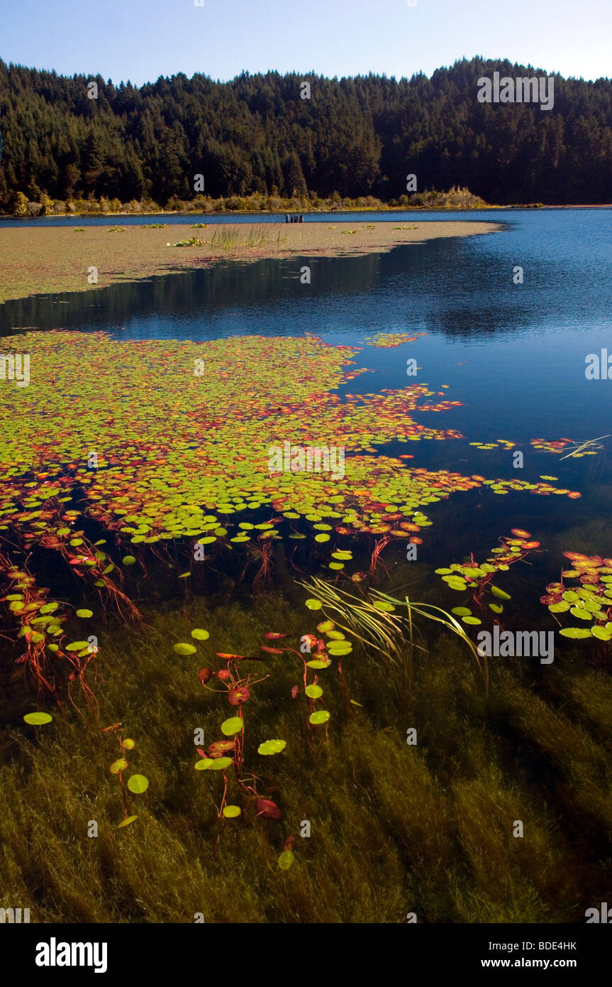 Siltcoos Lake, Oregon Stock Photo Alamy
