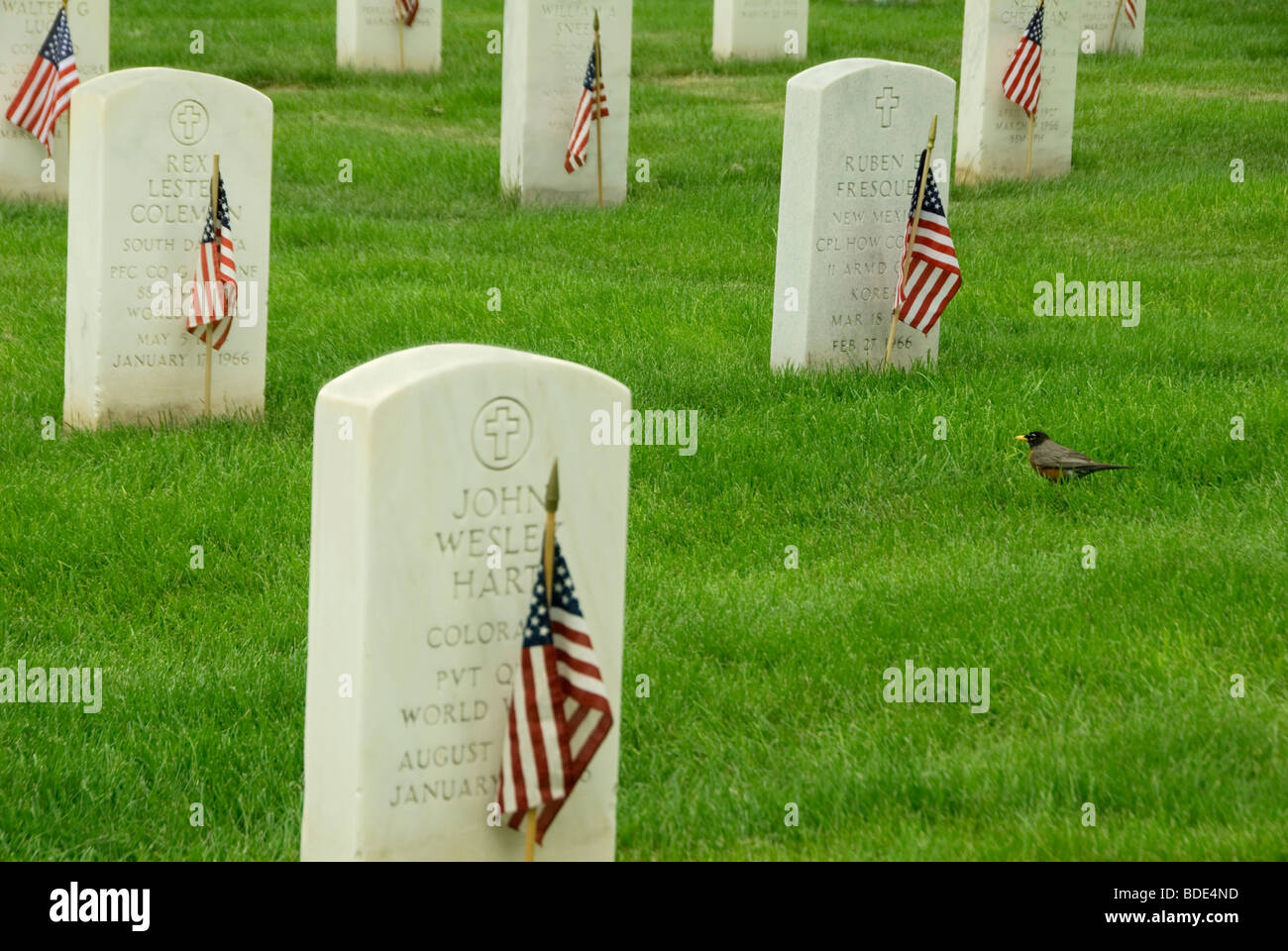 American robin headstones fort logan hi res stock photography and