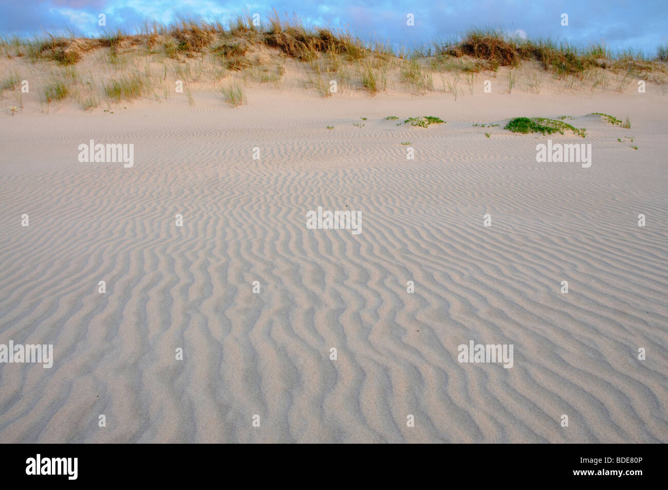 Seacoast erosion hi-res stock photography and images - Alamy