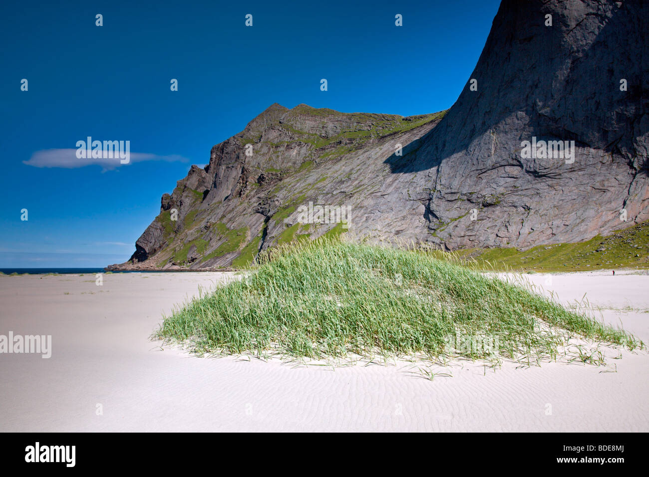 Vindstad Bunes Hike: Bunes Beach: Grass Stock Photo