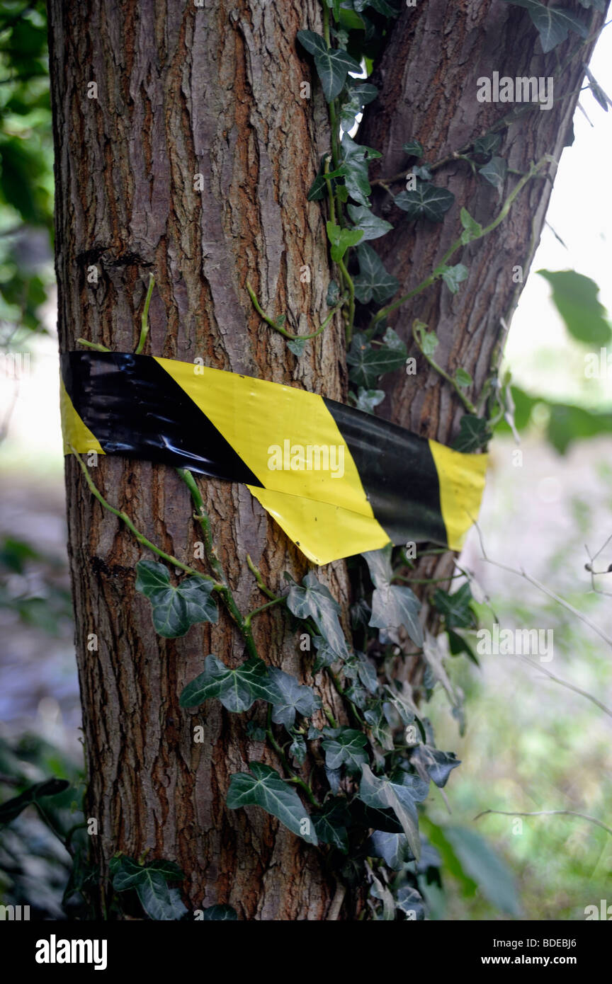 Tree with tape Stock Photo Alamy