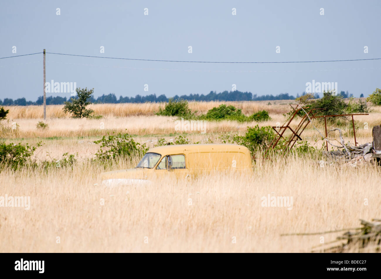 Overgrown car wreck hi-res stock photography and images - Alamy
