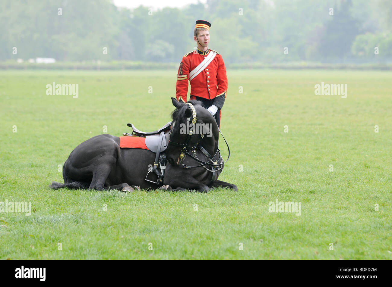 Household cavalry mounted regiment hi-res stock photography and images ...