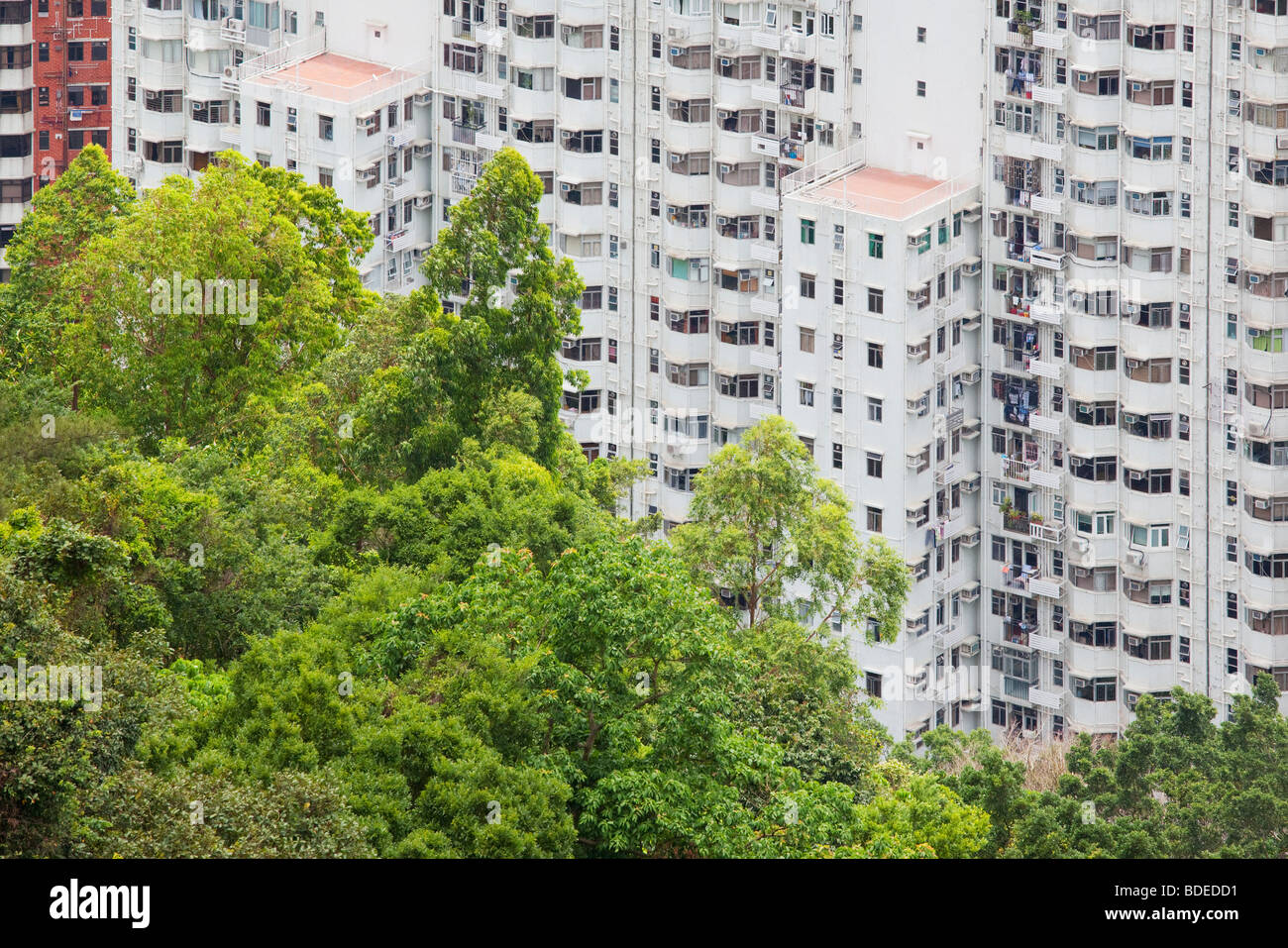 Green areas and high rise buildings Hong Kong, China Stock Photo - Alamy