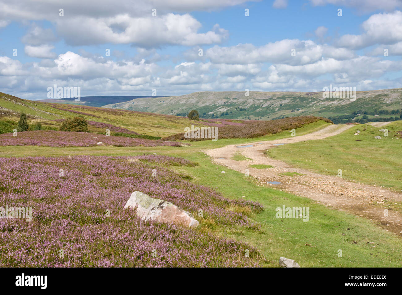 Grinton Moor, Swaledale, Yorkshire dales National Park Stock Photo - Alamy