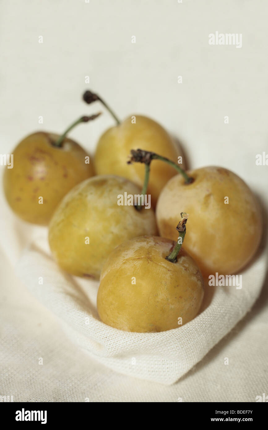 Five Mirabelle Plums Stock Photo