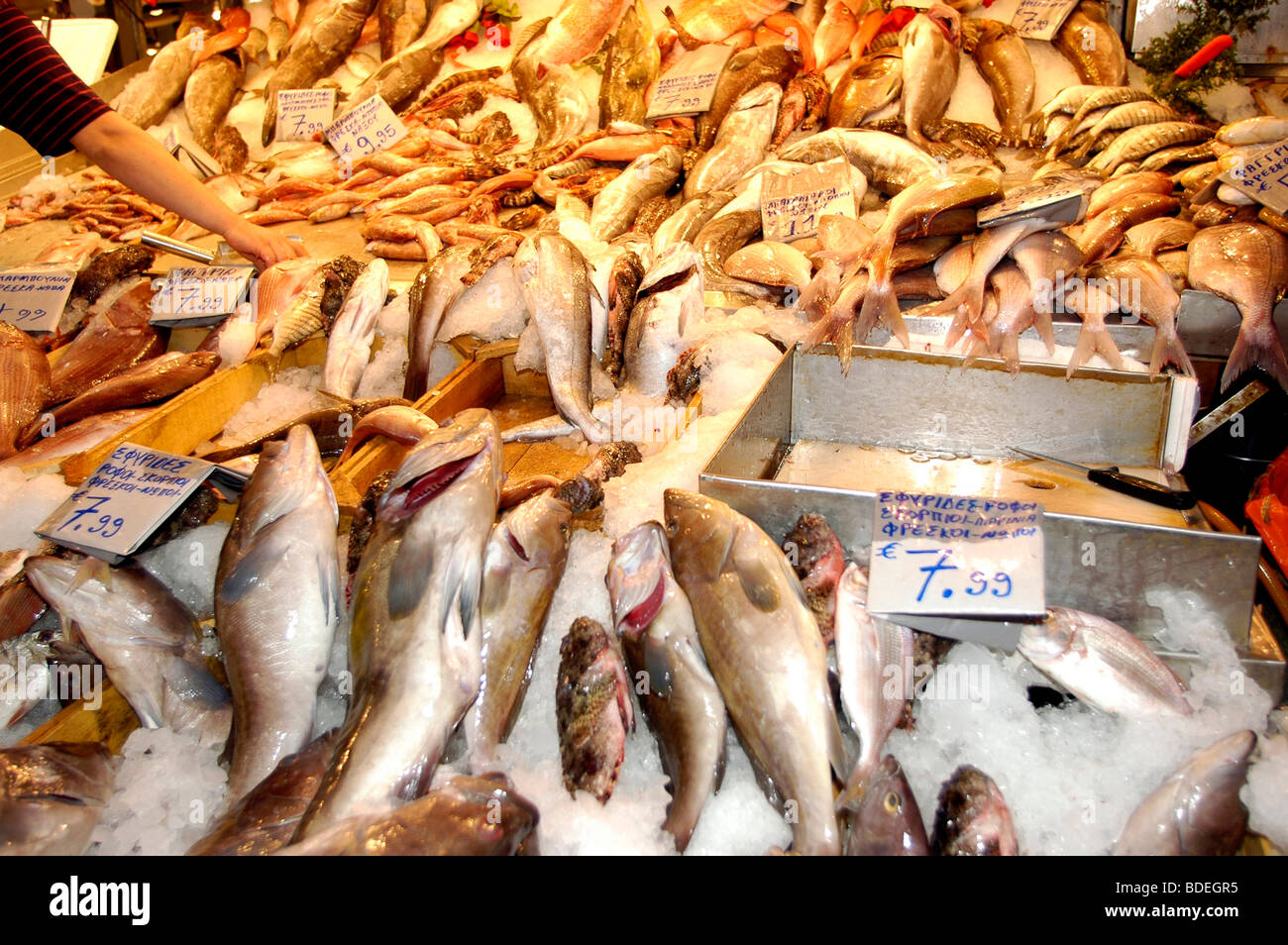 Central Fish Market of Athens Stock Photo Alamy