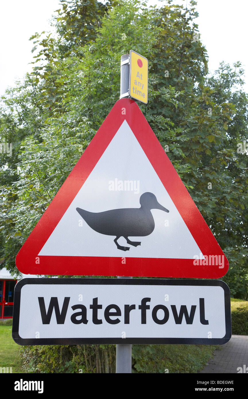 Waterfowl traffic sign Stock Photo