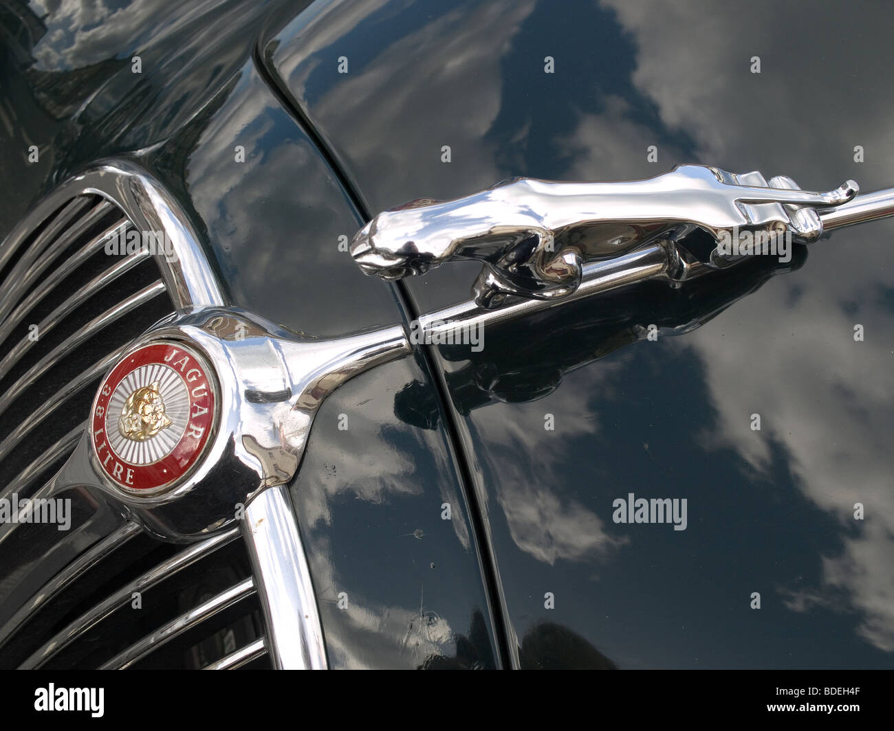 Chrome Metal Horse Pony General Car Front Hood Ornament Emblems Badge Sticker