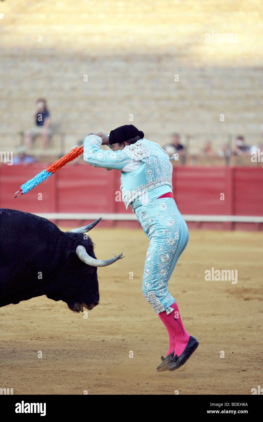 Bullfighting banderillero banderillas fighting bull hi-res stock ...