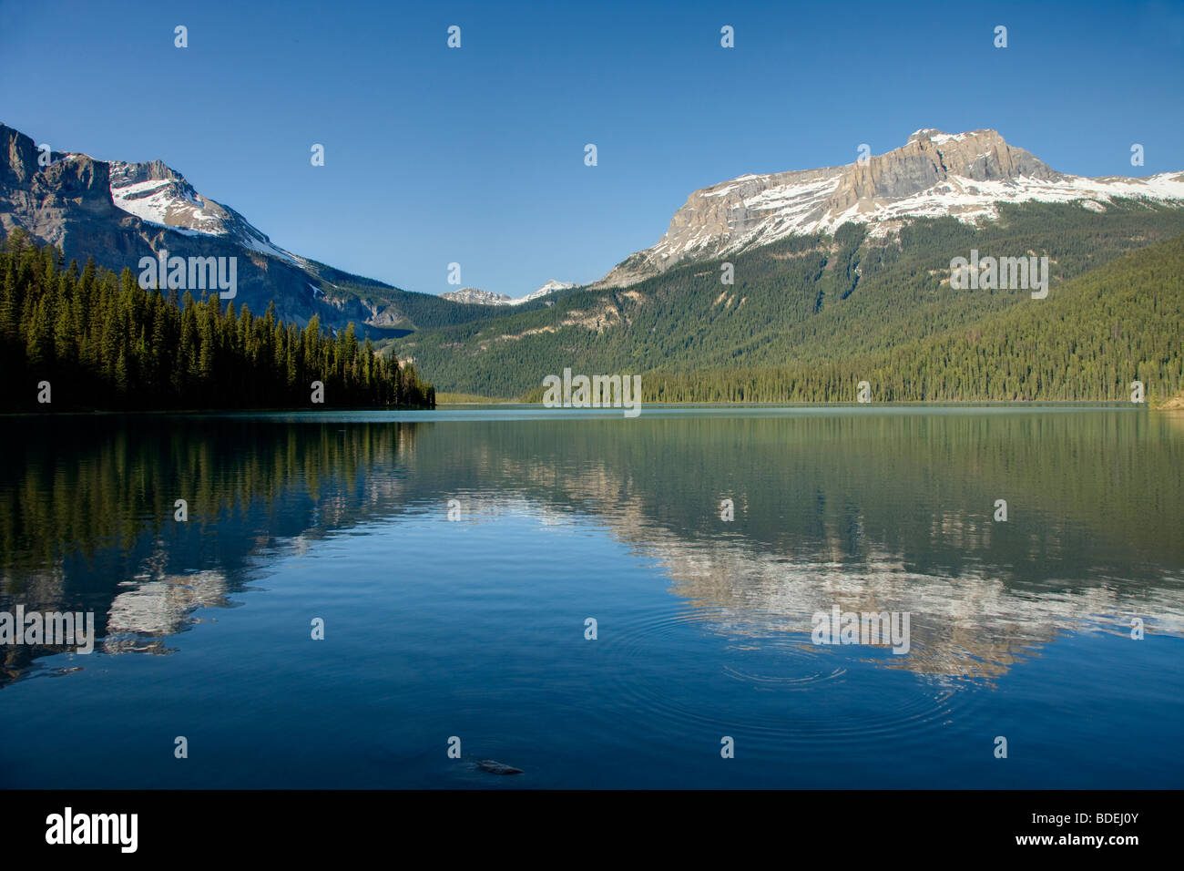 Yoyo National Park High Resolution Stock Photography and Images - Alamy