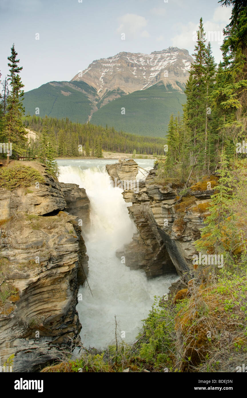 athabasca-falls-jasper-national-park-alberta-canada-la004300-stock