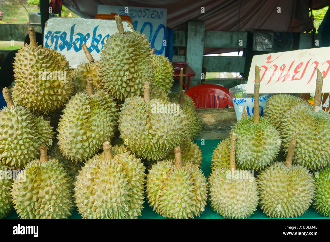 exotic durian for sale at a market in Bangkok Thailand Stock Photo Alamy