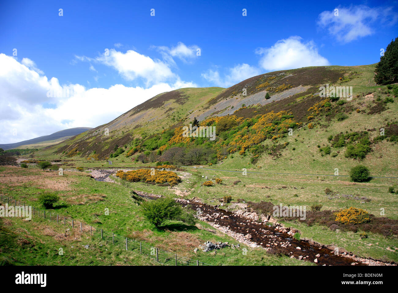Landscape at Happy Valley Cheviot Hills Northumbria National Park