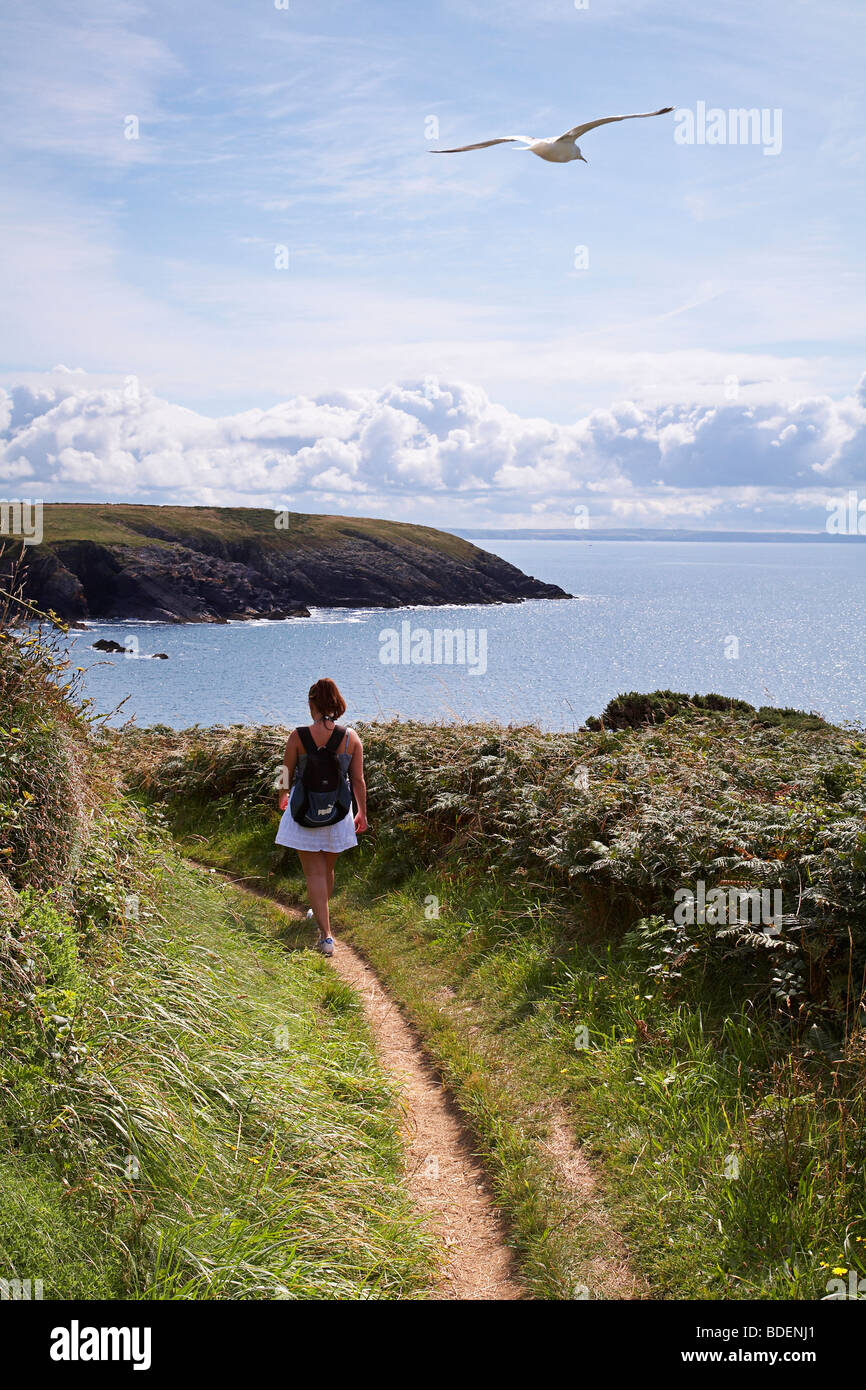 Pembrokeshire coastal path, between St Davids and Solva. Stock Photo