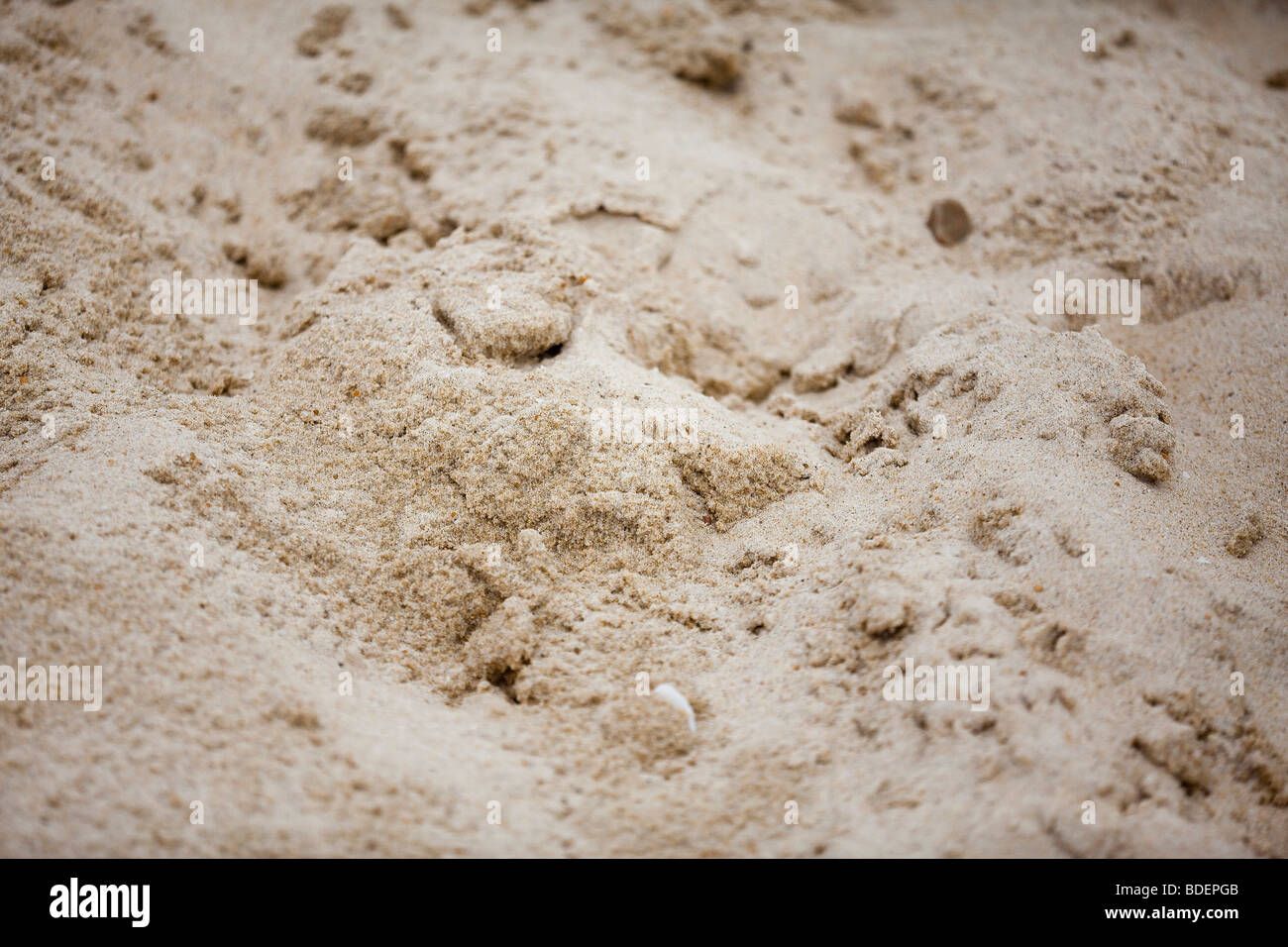 Sand on the beach Stock Photo Alamy