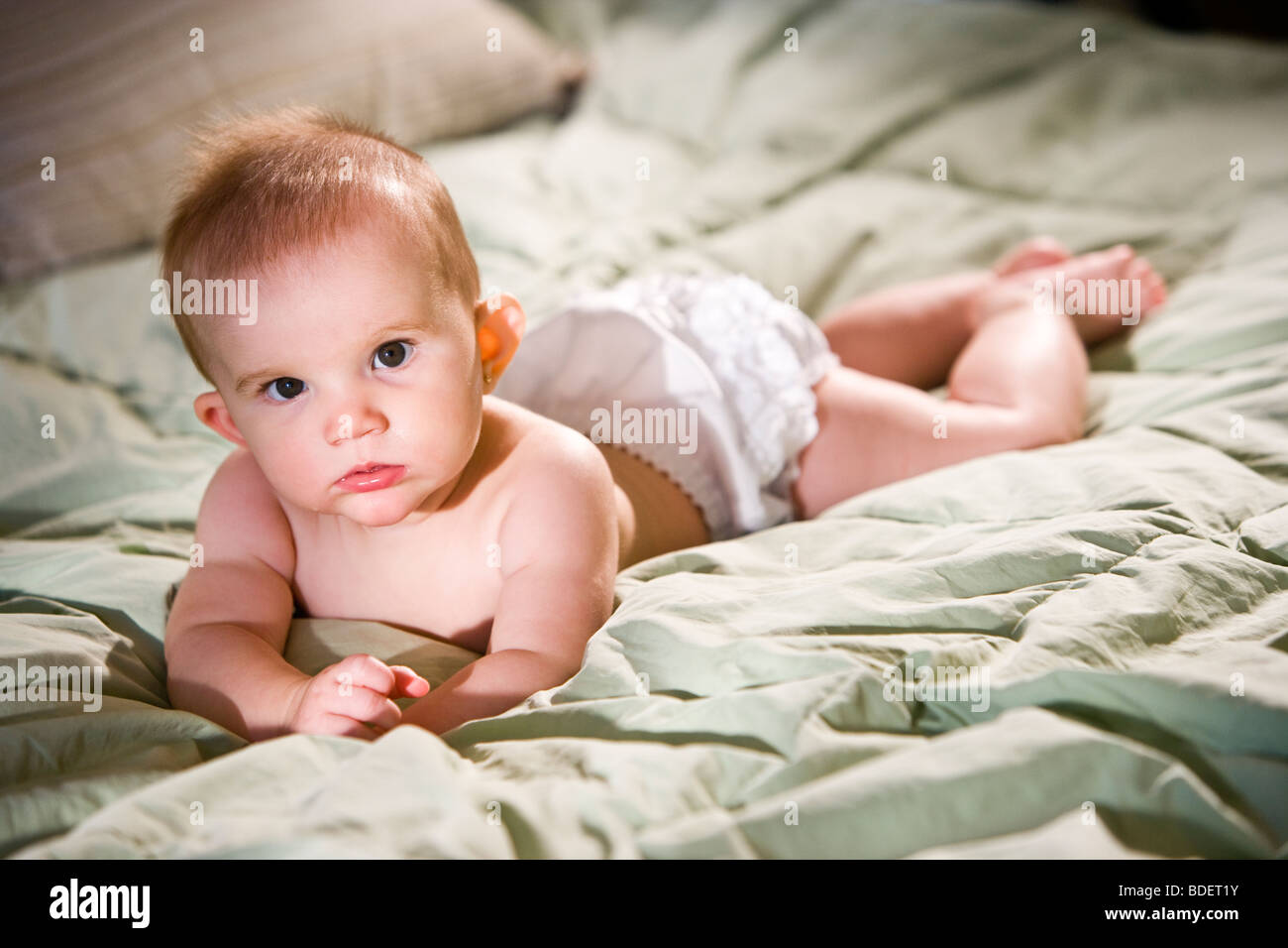 6 month old baby girl lying on bed comforter Stock Photo Alamy