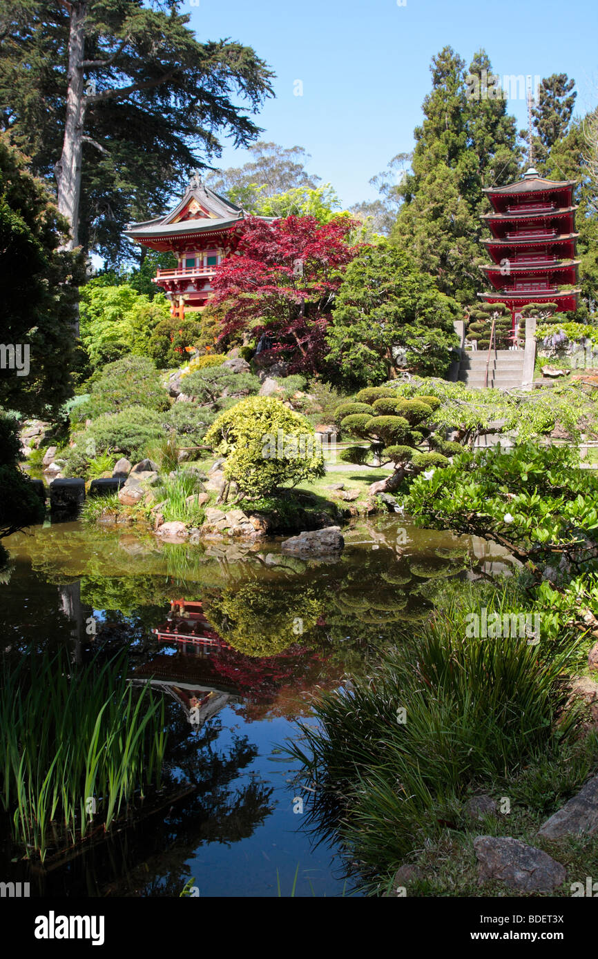 The Japanese Tea Garden in the Golden Gate Park San Francisco