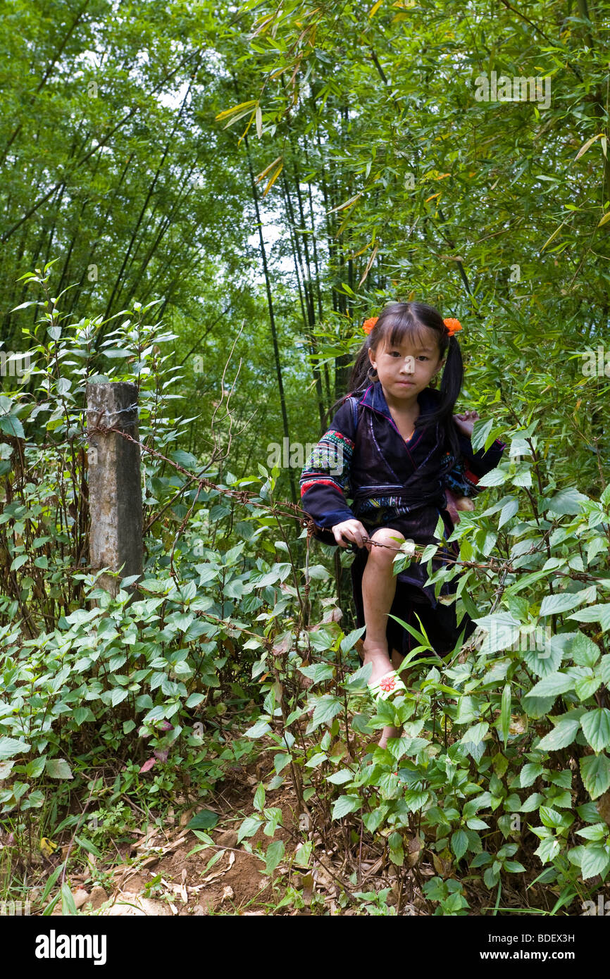 A small girl unexpectedly emerges from the thick trees by the roadside of Sa Pa, Vietnam Stock Photo