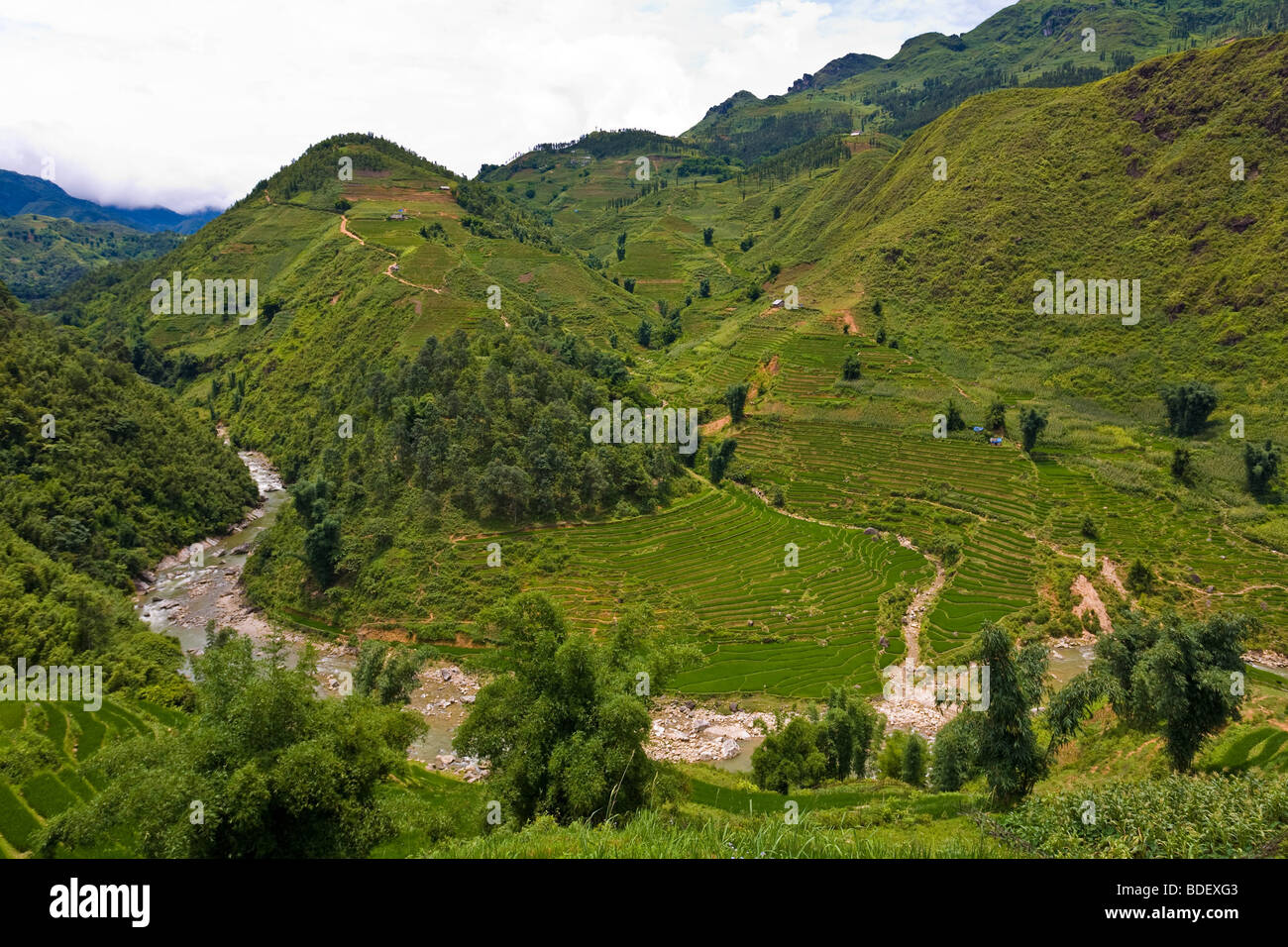 A muddy river passes through a green, terraced valley in Sapa, north Vietnam Stock Photo