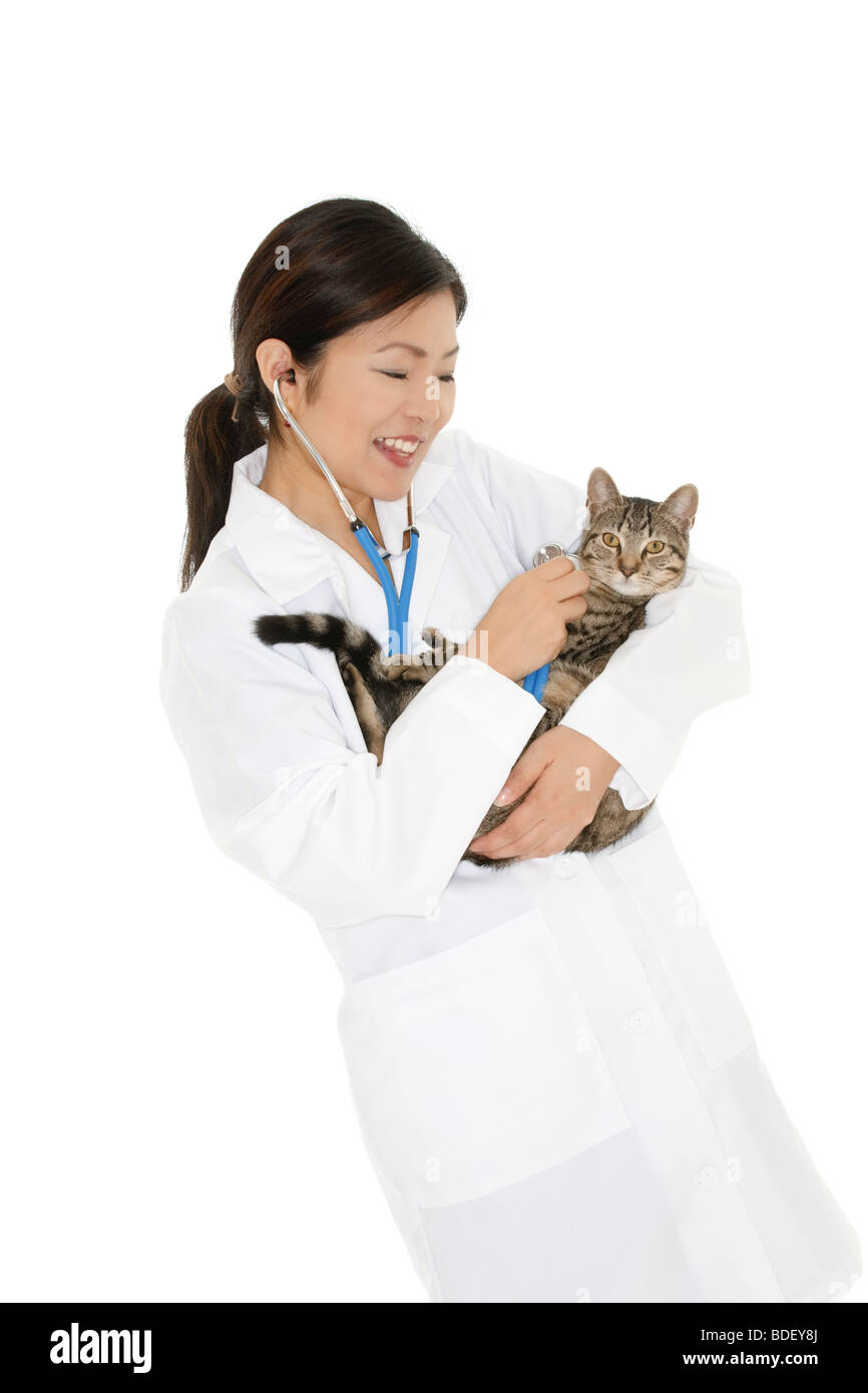 Beautiful Asian woman Veterinarian examining a kitten Stock Photo