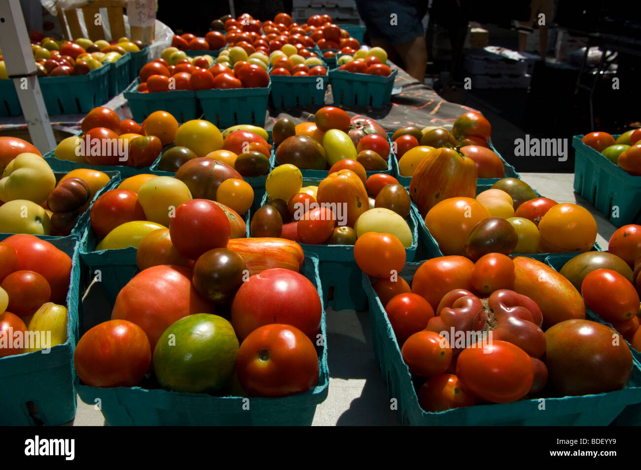Tomatoes on sale at a stand in the Union Square Greenmarket in New York ...