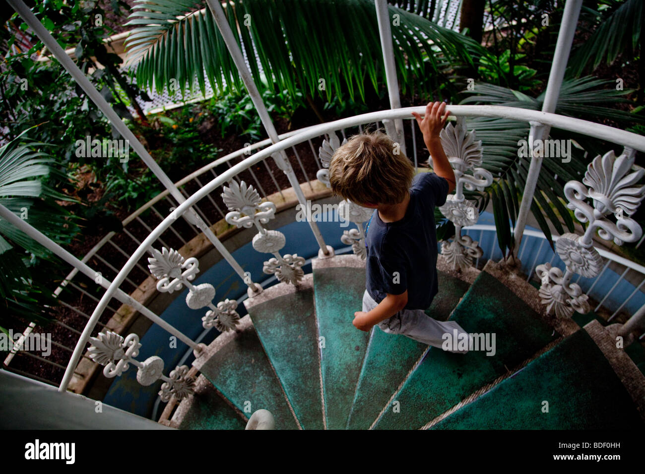 A boy decending the stairs in the Palm House, Kew Gardens in London Stock Photo