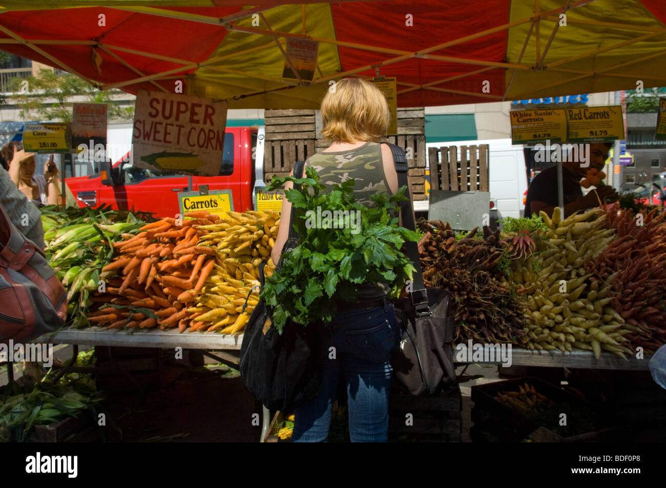 A woman shopping at a stand in the Union Square Greenmarket in New York on Saturday, August 15, 2009. (© Frances M. Roberts) Stock Photo