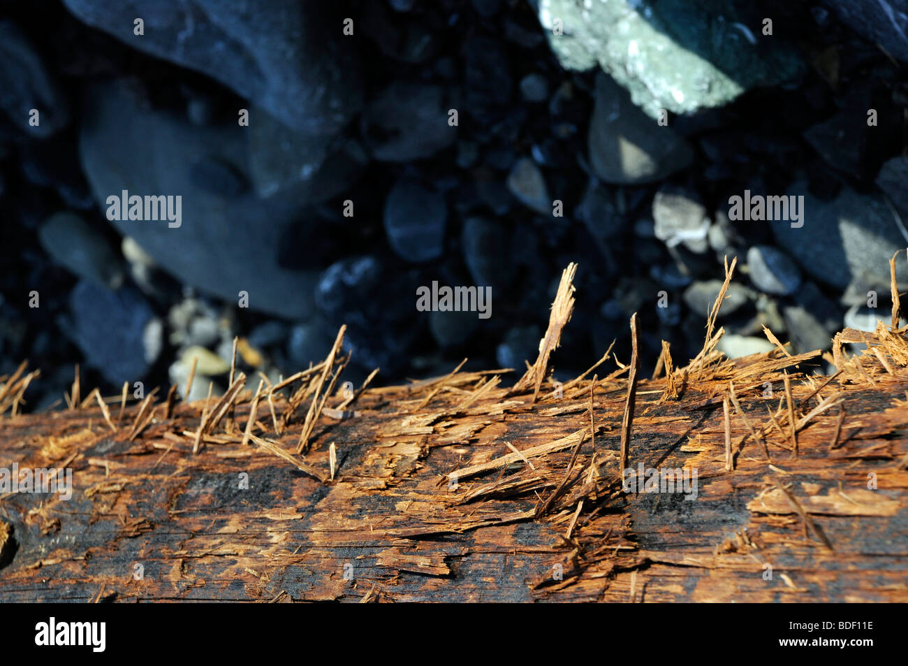 Timber fuel hi-res stock photography and images - Alamy