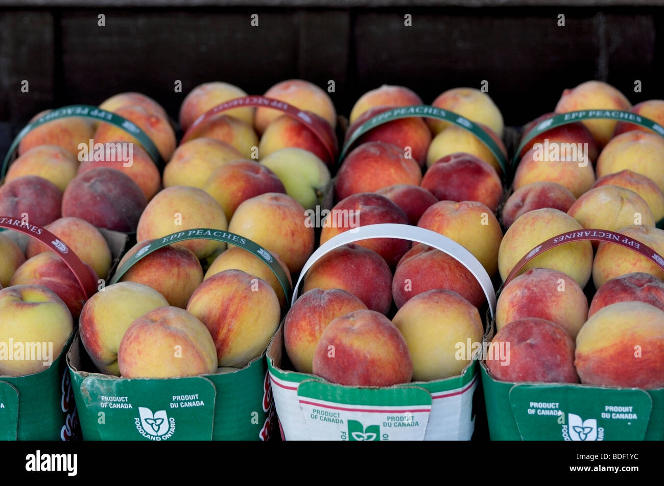 Ontario Locally Grown Peaches, Niagara Orchards Stock Photo Alamy