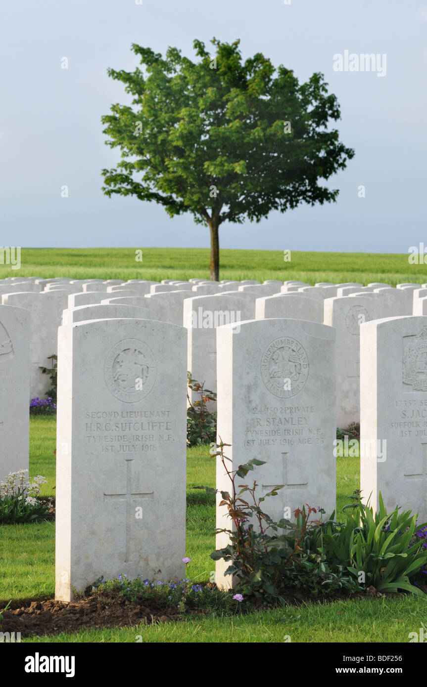 Massed British graves at Ovillers Cemetery on the Somme, France Stock Photo