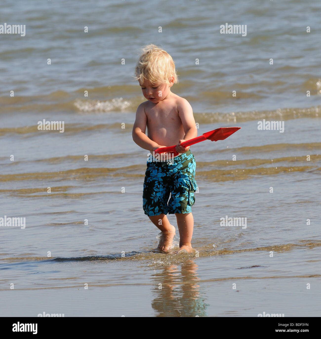 Small boy holding a red plastic spade playing at the seaside southern ...